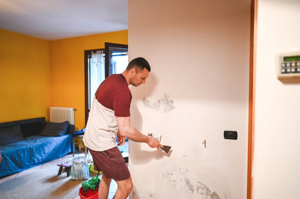 Best Black Mold Remediation in Cache, OK
